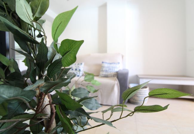 Apartamento en Canet d´en berenguer - Apartamento cerca de la playa en Canet d'en Berenguer Apartamento en Canet d´en berenguer - Apartamento cerca de la playa en Canet d'en Berenguer