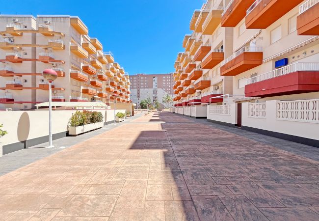 Apartamento en Canet d´en berenguer - Apt. Cañas y barro, 11 Apartamento en Canet d´en berenguer - Apt. Cañas y barro, 11