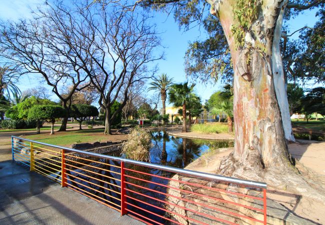 Apartamento en Canet d´en berenguer - Global Properties: Apartamento con piscina y terraza en Canet playa Apartamento en Canet d´en berenguer - Global Properties: Apartamento con piscina y terraza en Canet playa