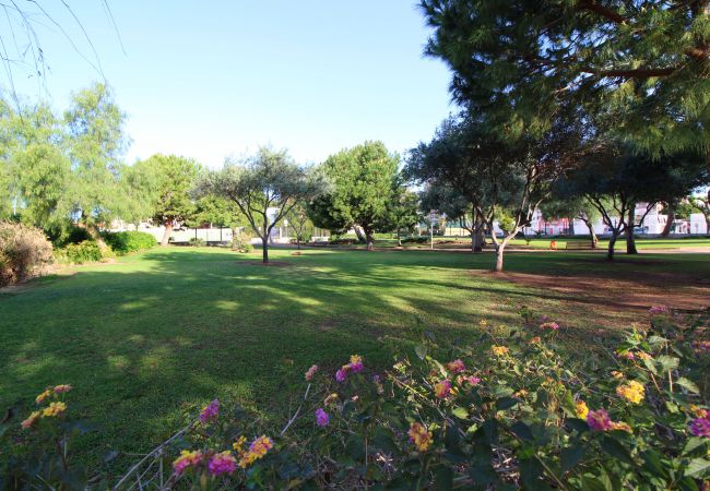 Apartamento en Canet d´en berenguer - Global Properties: Apartamento con piscina y terraza en Canet playa Apartamento en Canet d´en berenguer - Global Properties: Apartamento con piscina y terraza en Canet playa