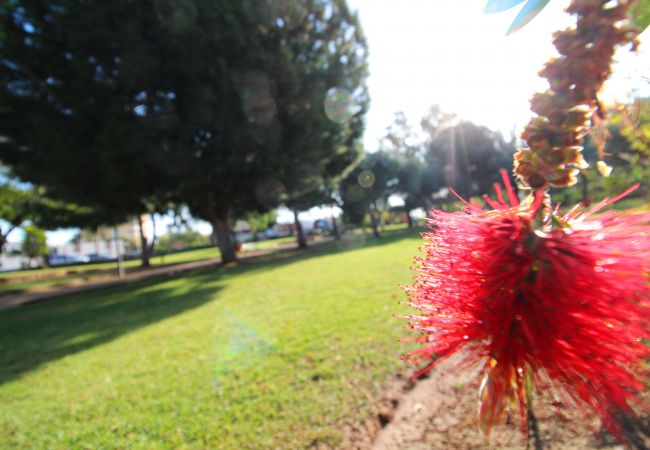 Apartamento en Canet d´en berenguer - Global Properties: Apartamento con piscina y terraza en Canet playa Apartamento en Canet d´en berenguer - Global Properties: Apartamento con piscina y terraza en Canet playa