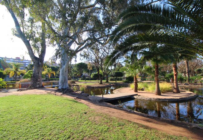 Apartamento en Canet d´en berenguer - Global Properties: Apartamento con piscina y terraza en Canet playa Apartamento en Canet d´en berenguer - Global Properties: Apartamento con piscina y terraza en Canet playa