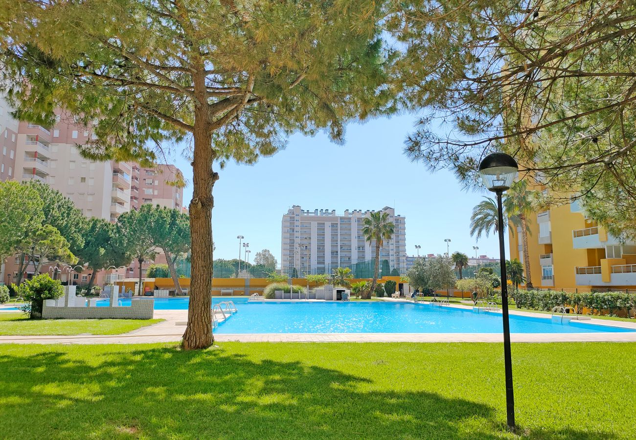 Apartamento en Canet d´en berenguer - Global Properties: Apartamento con buenas vistas en Canet playa Apartamento en Canet d´en berenguer - Global Properties: Apartamento con buenas vistas en Canet playa