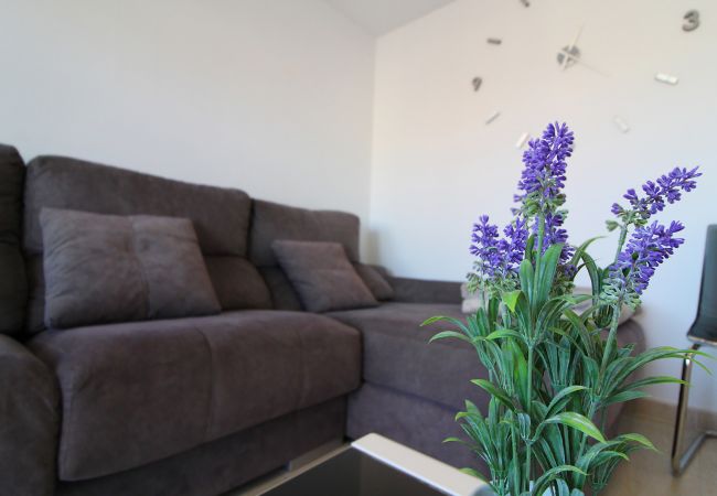 Apartamento en Canet d´en berenguer - Global Properties: Impresionante ático para 8 personas en Canet d'en Berenguer Apartamento en Canet d´en berenguer - Global Properties: Impresionante ático para 8 personas en Canet d'en Berenguer