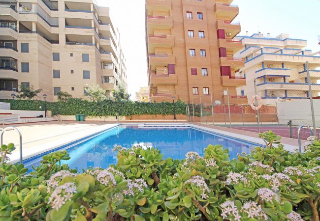 Apartamento en Canet d´en berenguer - Global Properties: Impresionante ático para 8 personas en Canet d'en Berenguer Apartamento en Canet d´en berenguer - Global Properties: Impresionante ático para 8 personas en Canet d'en Berenguer