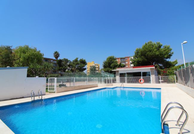 Apartamento en Canet d´en berenguer - Global Properties: Apartamento con terraza y piscina en primera línea de playa Apartamento en Canet d´en berenguer - Global Properties: Apartamento con terraza y piscina en primera línea de playa