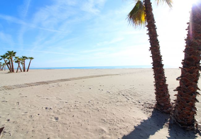 Apartamento en Canet d´en berenguer - Global Properties: Apartamento con terraza y piscina en primera línea de playa Apartamento en Canet d´en berenguer - Global Properties: Apartamento con terraza y piscina en primera línea de playa
