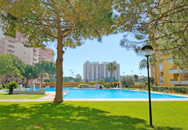 Apartamento en Canet d´en berenguer - Global Properties: Práctico apartamento con piscina en Residencial Brezo Canet