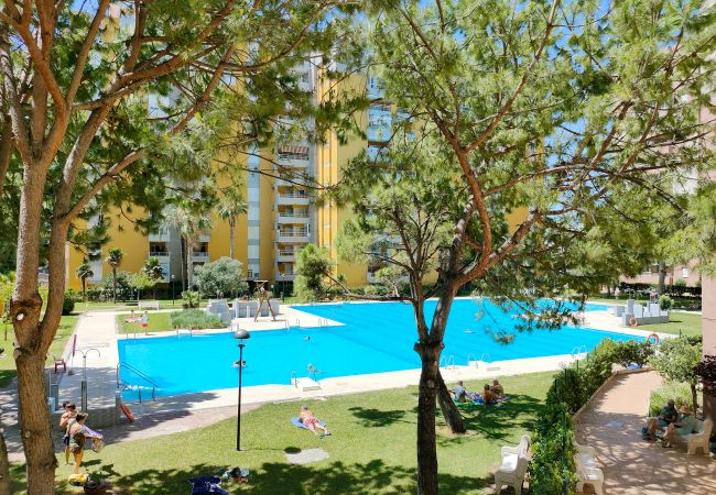 Apartamento en Canet d´en berenguer - Global Properties: Apartamento con piscina en Residencial Brezo