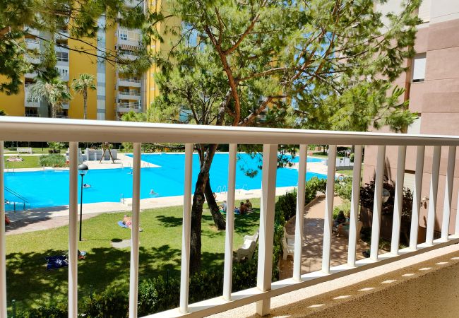 Apartamento en Canet d´en berenguer - Global Properties: Apartamento con piscina en Residencial Brezo Apartamento en Canet d´en berenguer - Global Properties: Apartamento con piscina en Residencial Brezo