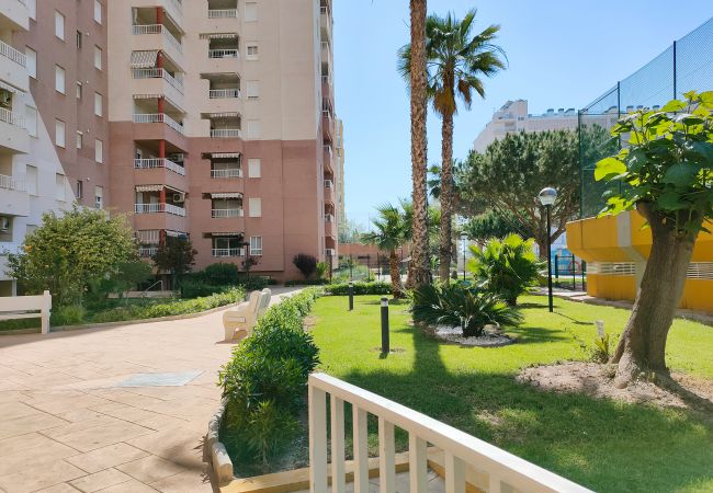 Apartamento en Canet d´en berenguer - Global Properties: Apartamento con piscina en Residencial Brezo Apartamento en Canet d´en berenguer - Global Properties: Apartamento con piscina en Residencial Brezo