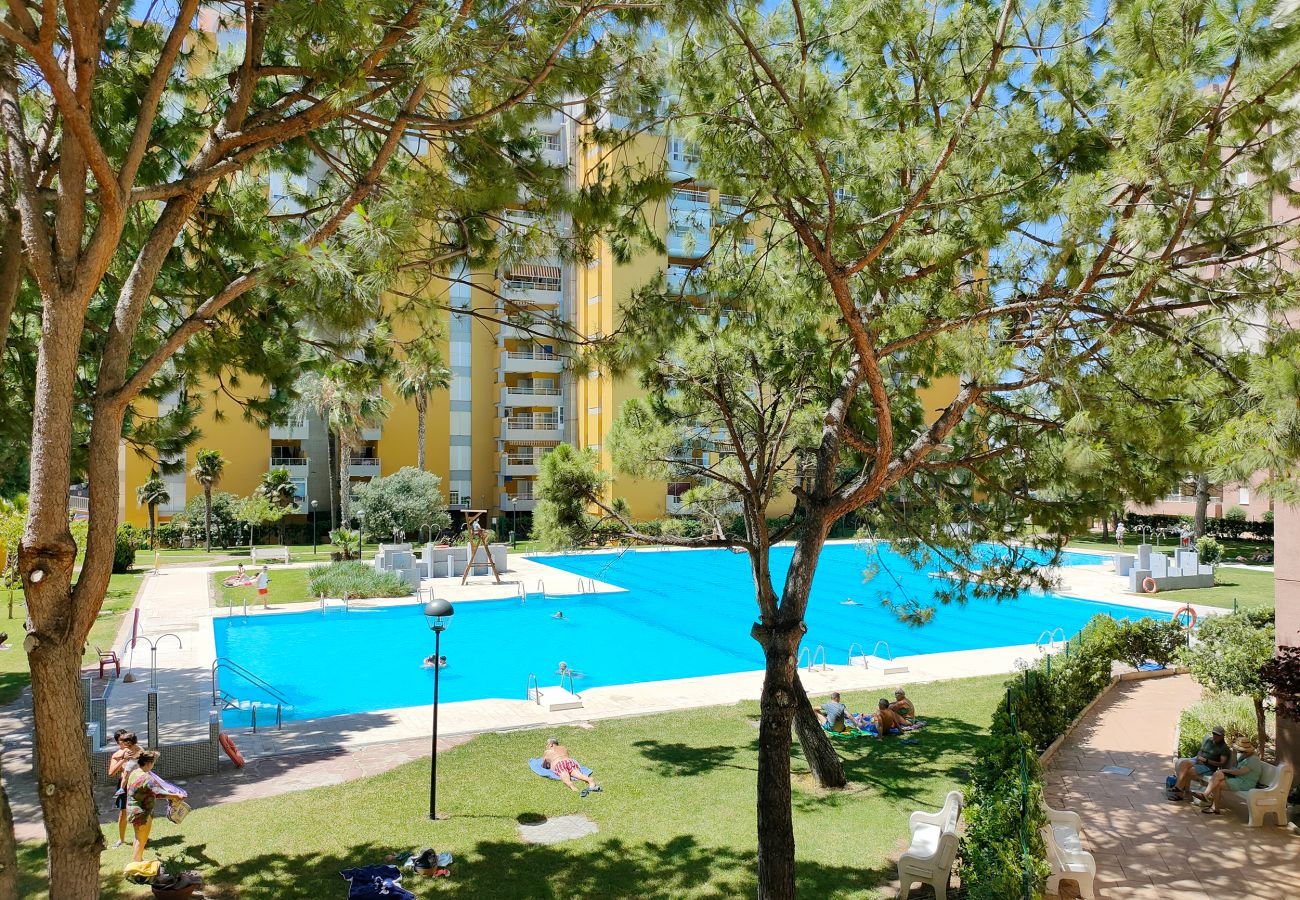 Apartamento en Canet d´en berenguer - Global Properties: Apartamento con piscina en Residencial Brezo