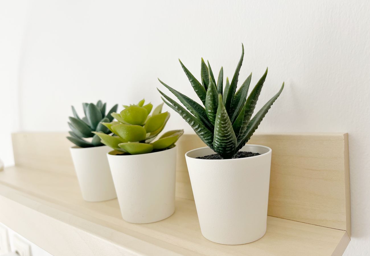 Apartamento en Sagunto - Global Properties: Apartamento de 3 dormitorios en Sagunto  Apartamento en Sagunto - Global Properties: Apartamento de 3 dormitorios en Sagunto