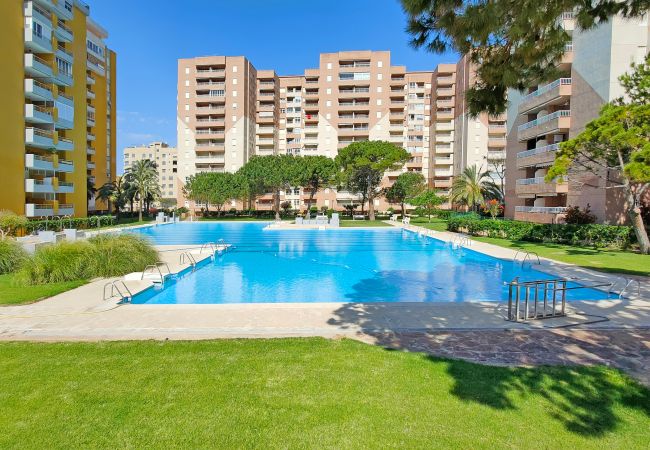 Apartamento en Canet d´en berenguer - Global Vacacional: Apartamento de una habitación en urbanización con piscina