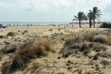Paya de Canet d’En Berenguer