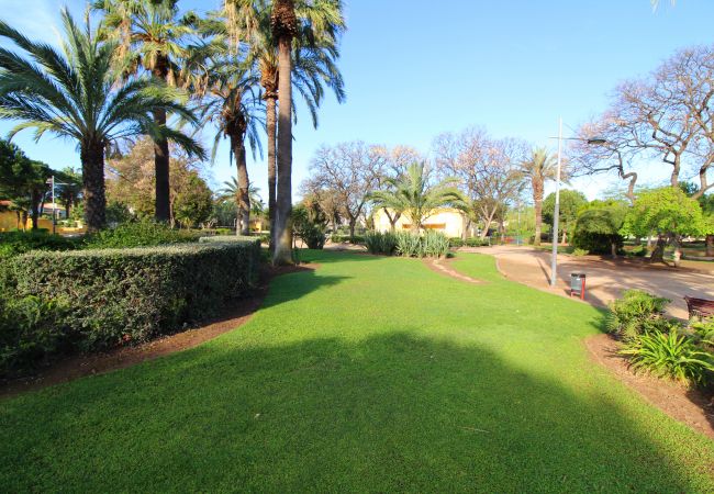 Apartment in Canet d´en berenguer - Global Properties: Apartment with pool and terrace in Canet beach Apartment in Canet d´en berenguer - Global Properties: Apartment with pool and terrace in Canet beach