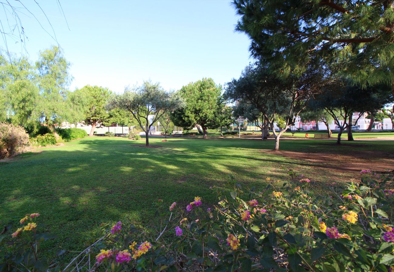 Apartment in Canet d´en berenguer - Global Properties: Apartment with pool and terrace in Canet beach Apartment in Canet d´en berenguer - Global Properties: Apartment with pool and terrace in Canet beach