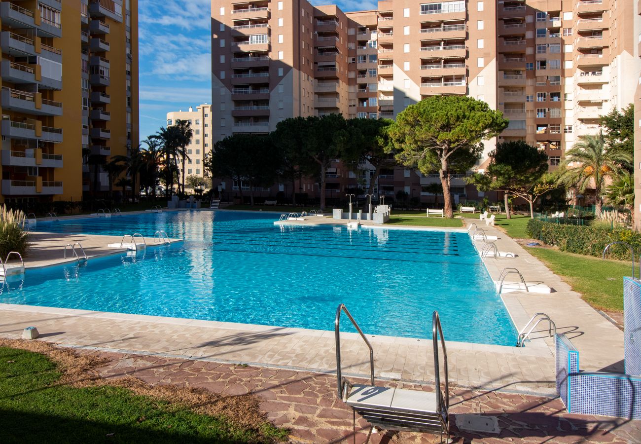 Apartment in Canet d´en berenguer - Global Properties: Nice apartment in Canet d'en Berenguer